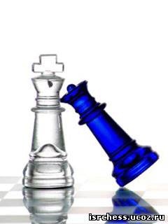 Шахматные обои для мобильного телефона